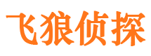 平安飞狼私家侦探公司